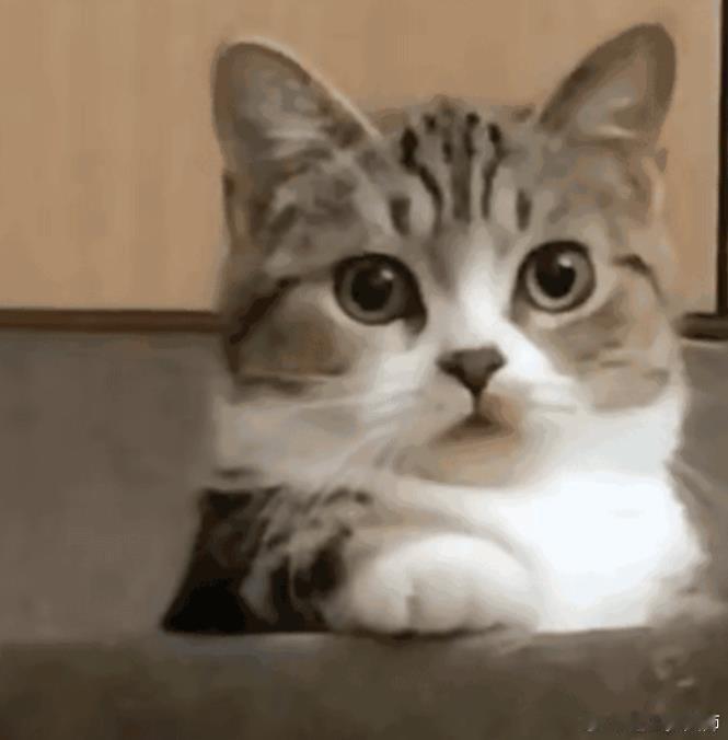 那些要求封存 的专家何必上电视和网友硬杠呢。你们自家保姆是自己花钱请的，你们供职