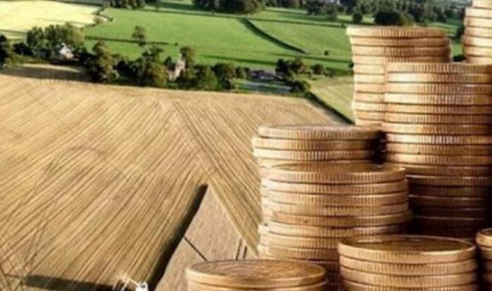 卖国行为？自 1 月 16 日起，乌克兰允许外籍公民收购农业用地。
据乌克兰 “