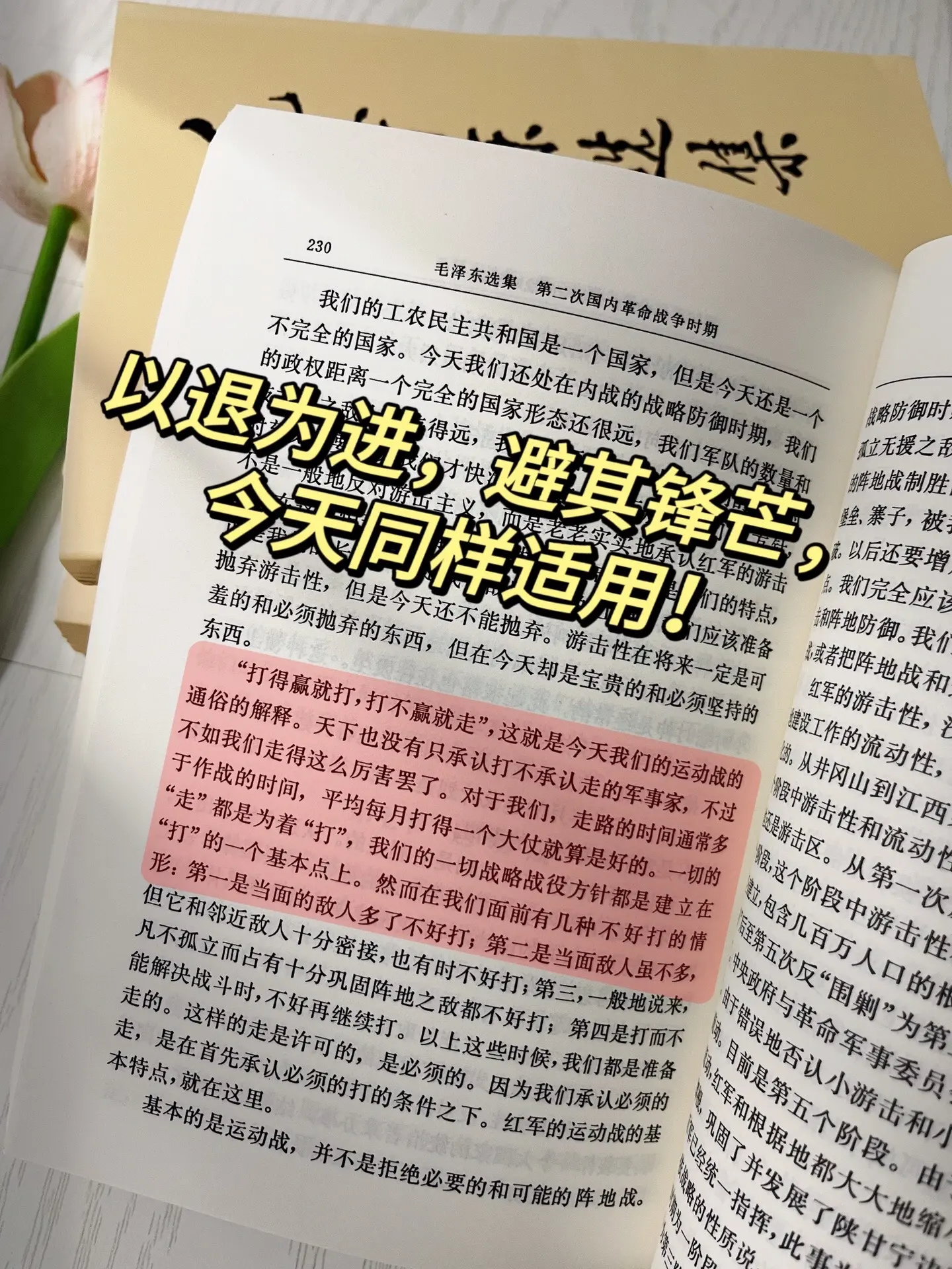 为什么教员从不焦虑？教员的智慧思想结晶，能帮你解决生活中90%的困惑...