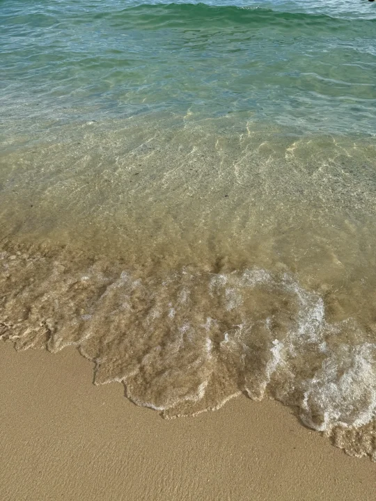 自从每天五点起床冥想🧘我的生活彻底改变