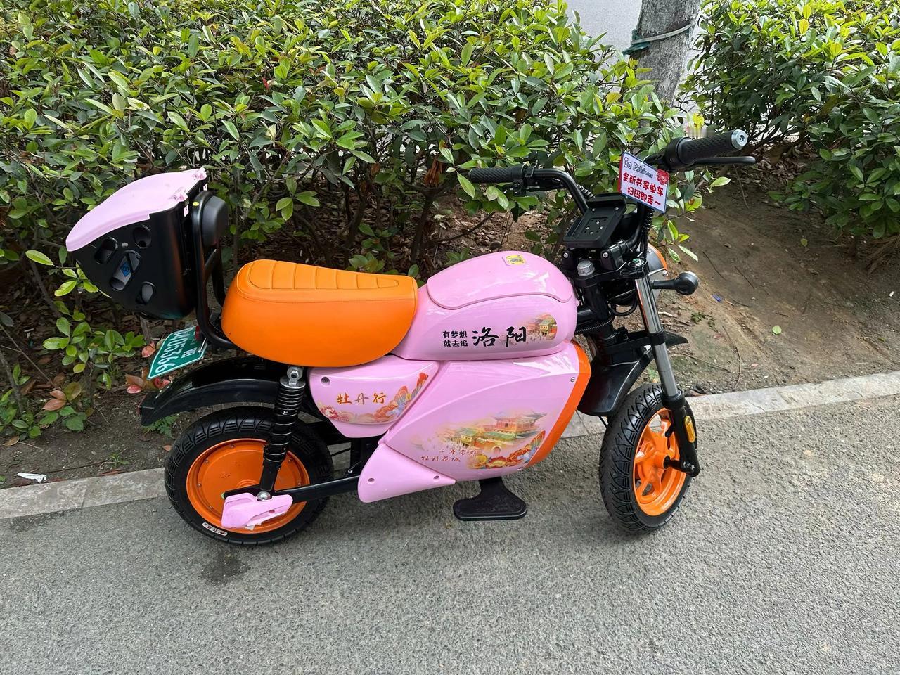 在洛阳见到这么漂亮的共享单车，这是要卷谁呢。