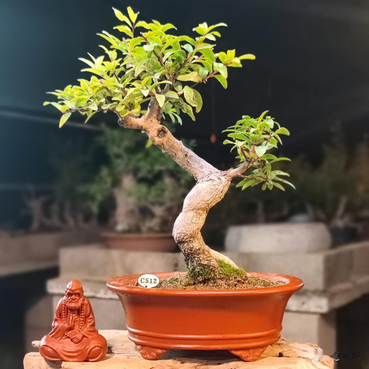 有爱好是上天的恩赐，
40+的微光：把爱好熬成生命的解药，

真正的爱好不是逃避