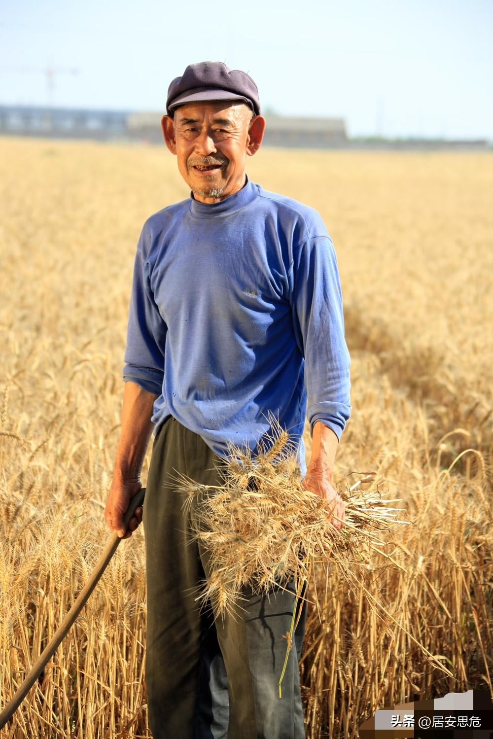 农民，值得被呐喊！