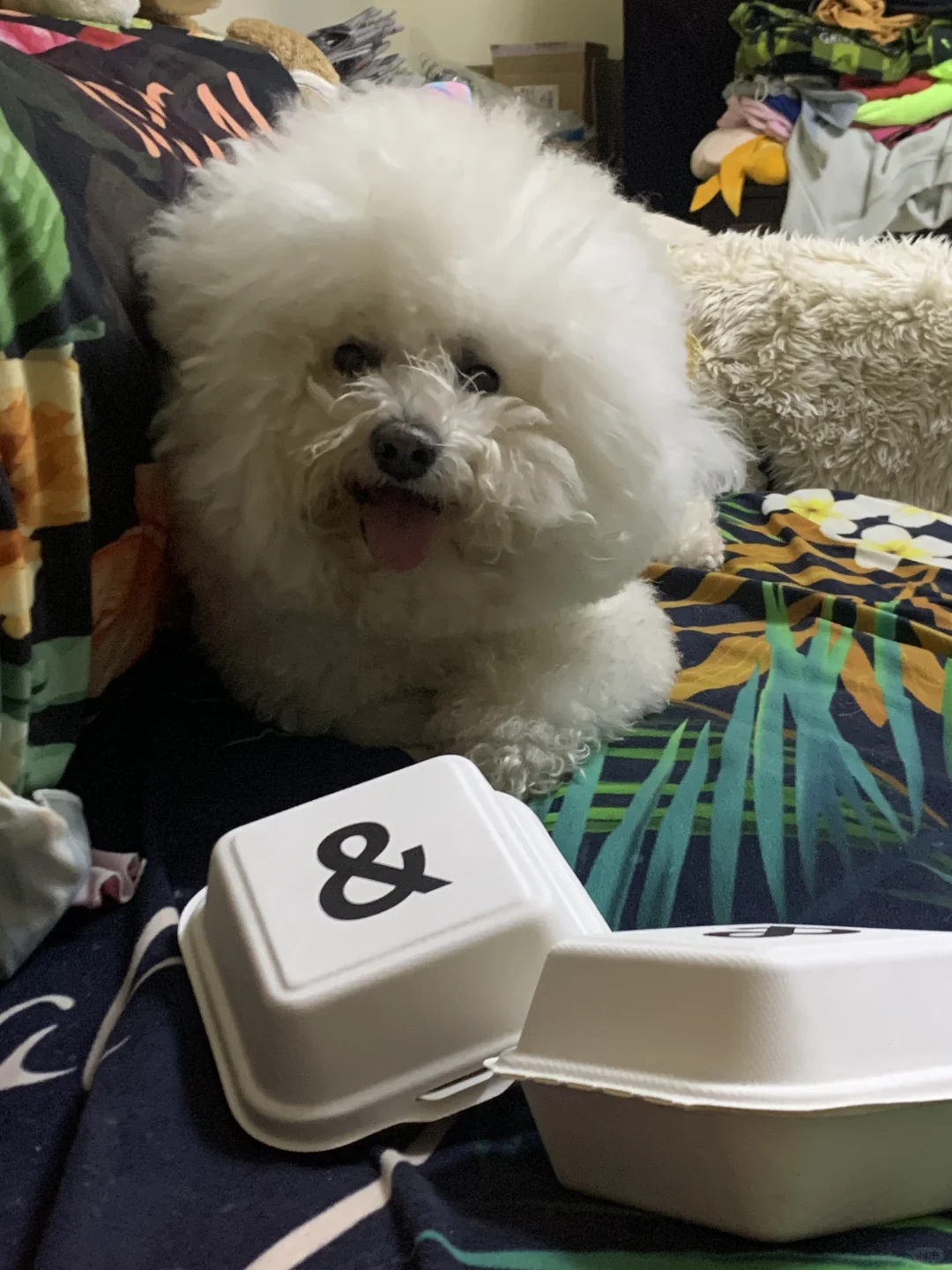 陪姐姐吃网红蛋糕😋嘿嘿
