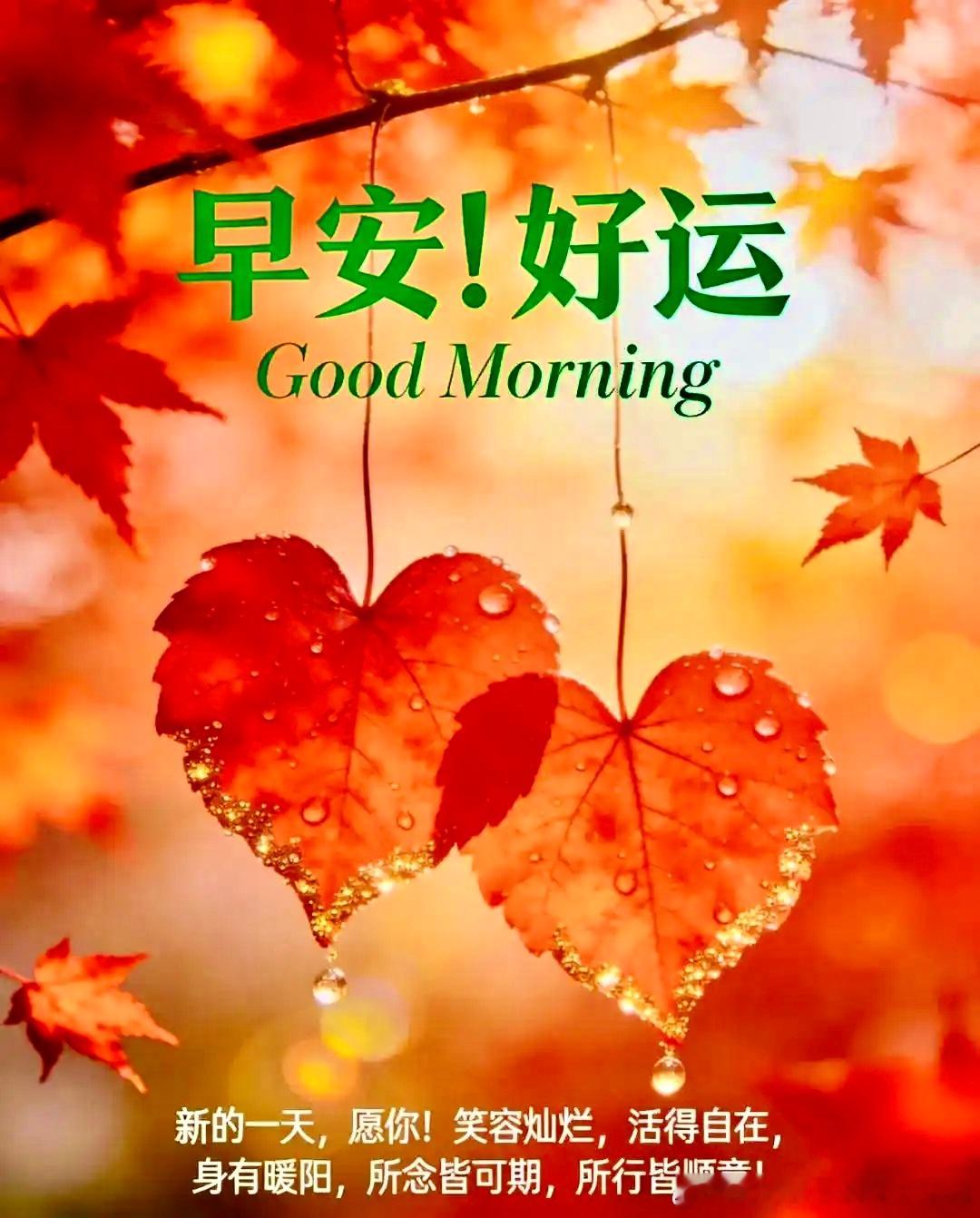 早安：每一个清晨，都是命运拆开的盲盒。不论天气如何，心若晴朗，人生处处皆是风景。