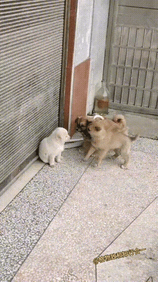 “临危不惧”