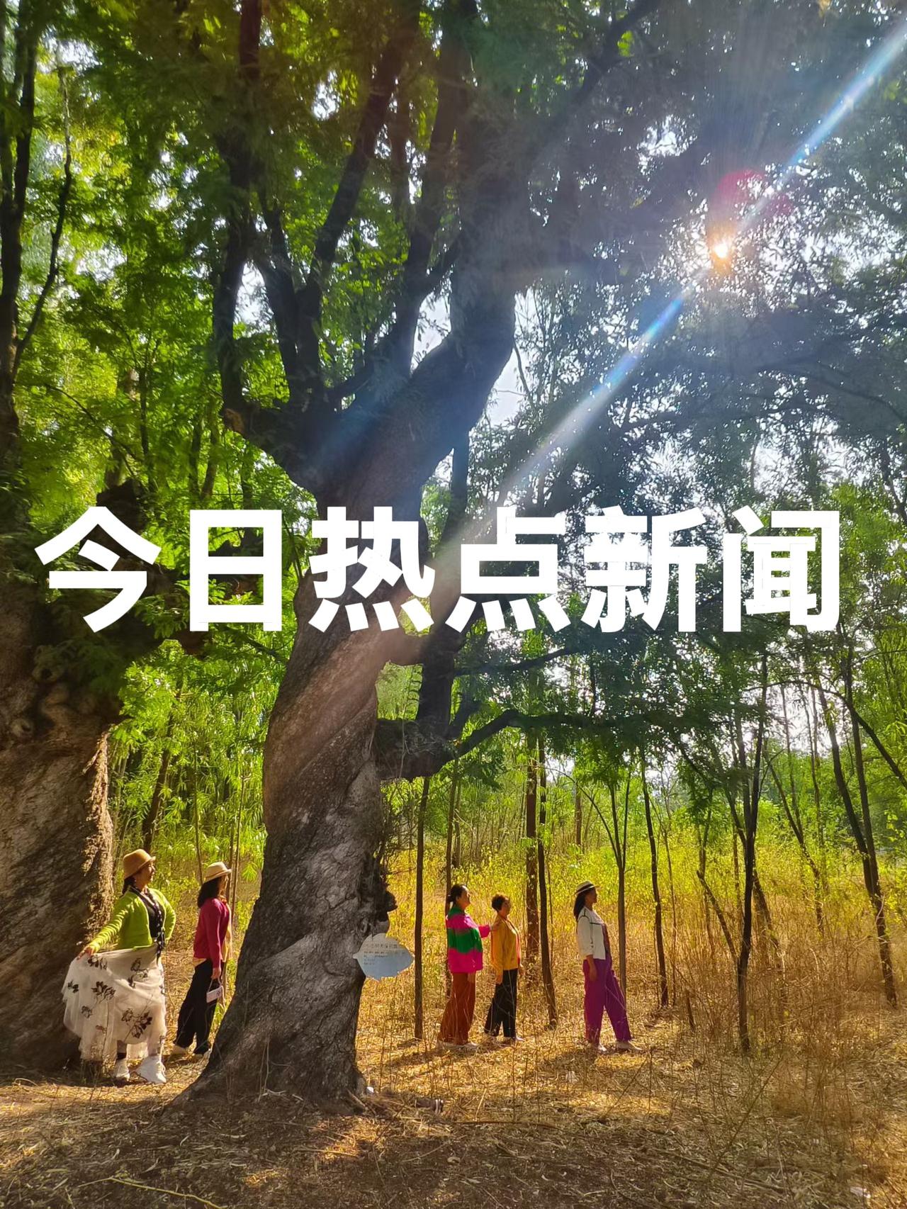 今天是2026年3月11日       周三
今日热点新闻：

1、米兰冬残奥会