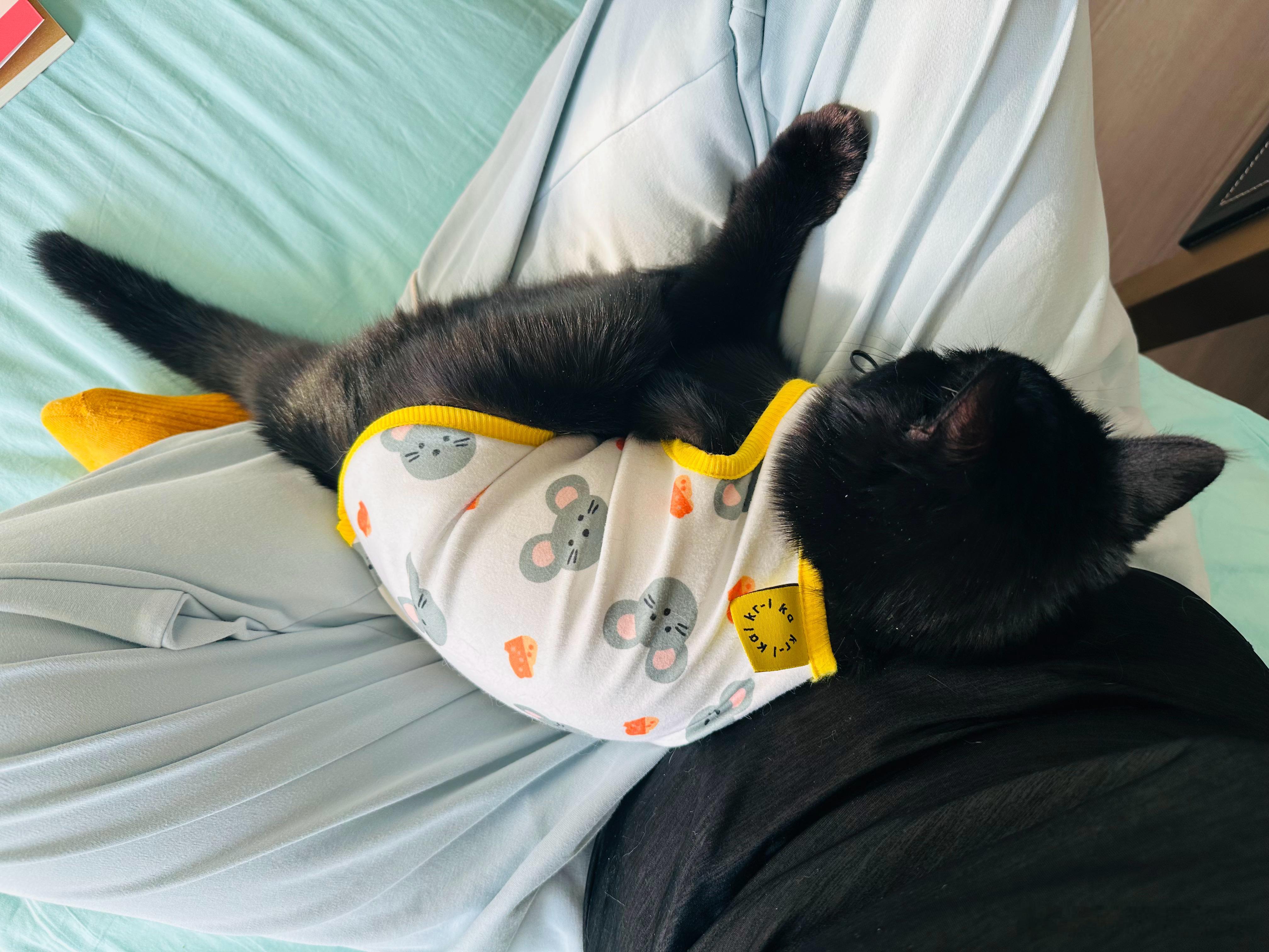 为什么拖延症如此严重？因为每次拖延都照样能把事干完！BT 