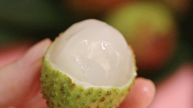 【吃荔枝上火其实是因为糖分高 】不建议空腹大量吃荔枝 一些人吃完荔枝后，可能会出