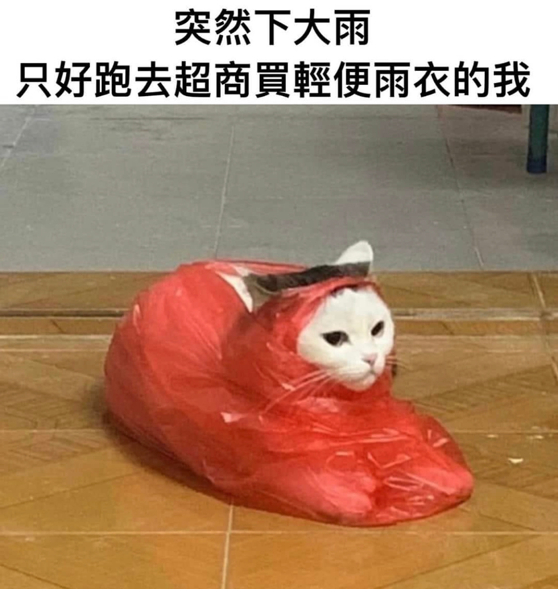 …#memes##今日memes# ​​​