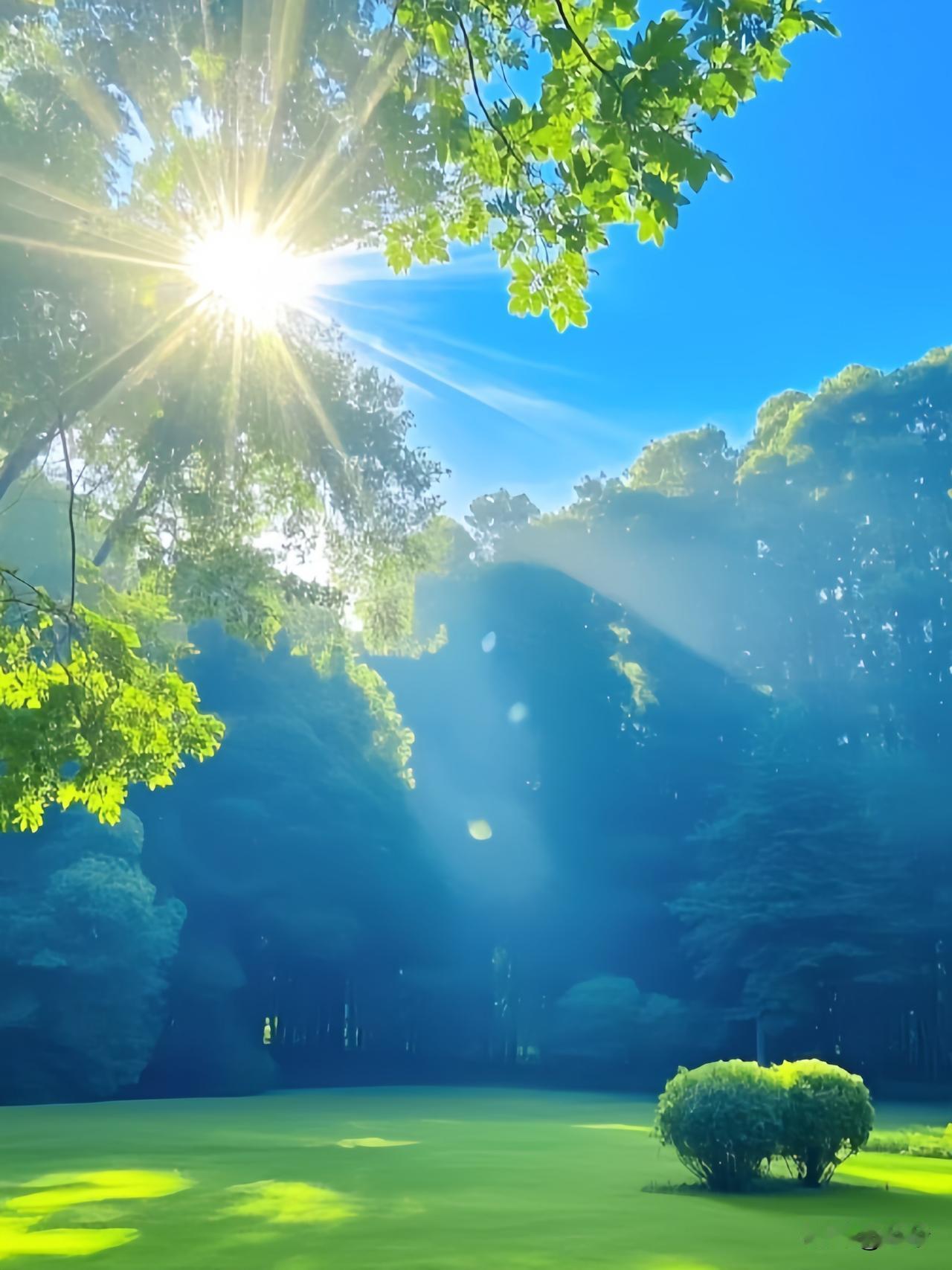 有人说：
太阳那么优秀，都能接受自己下山，
你有什么不能接受的，难道你比太阳还牛