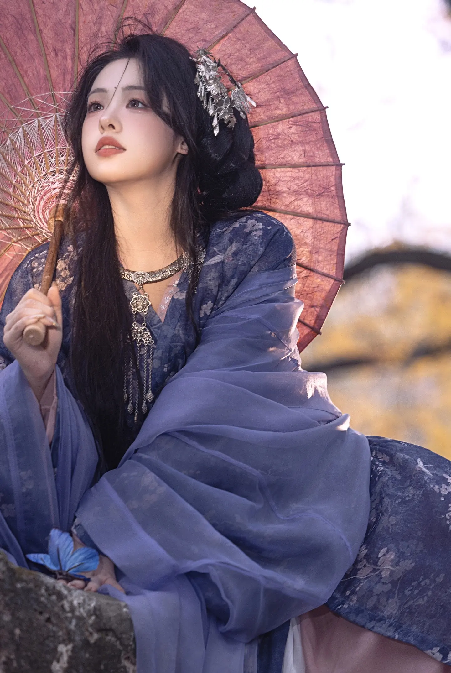 「入我、梦来 」