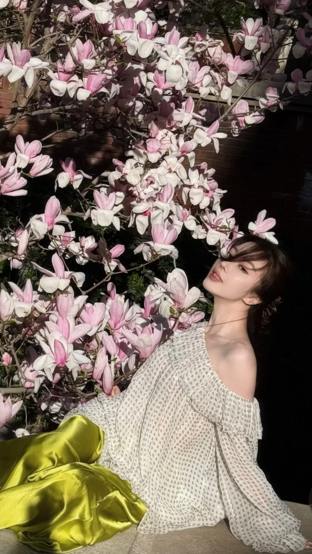春日🌸