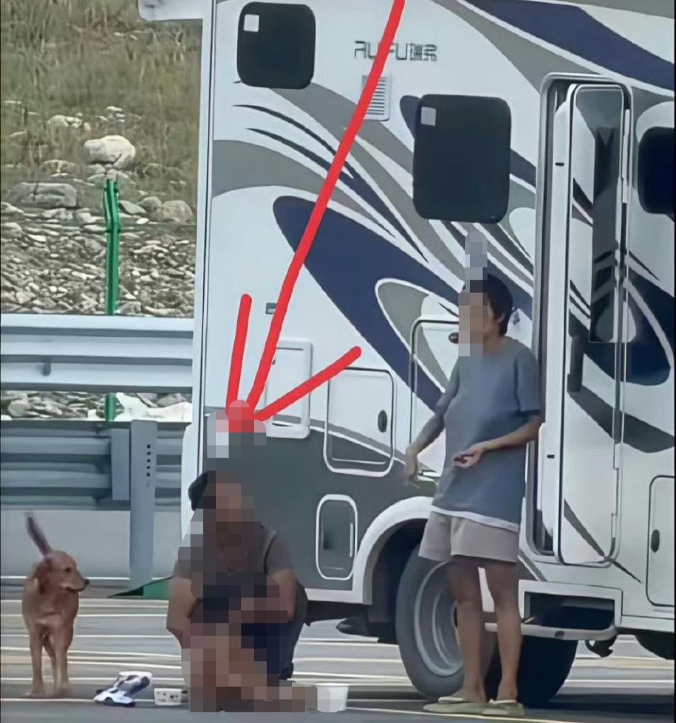 之前关于平平和弟弟安安的事情，相关部门的最新通报来了：

1. 目前平平已适应集