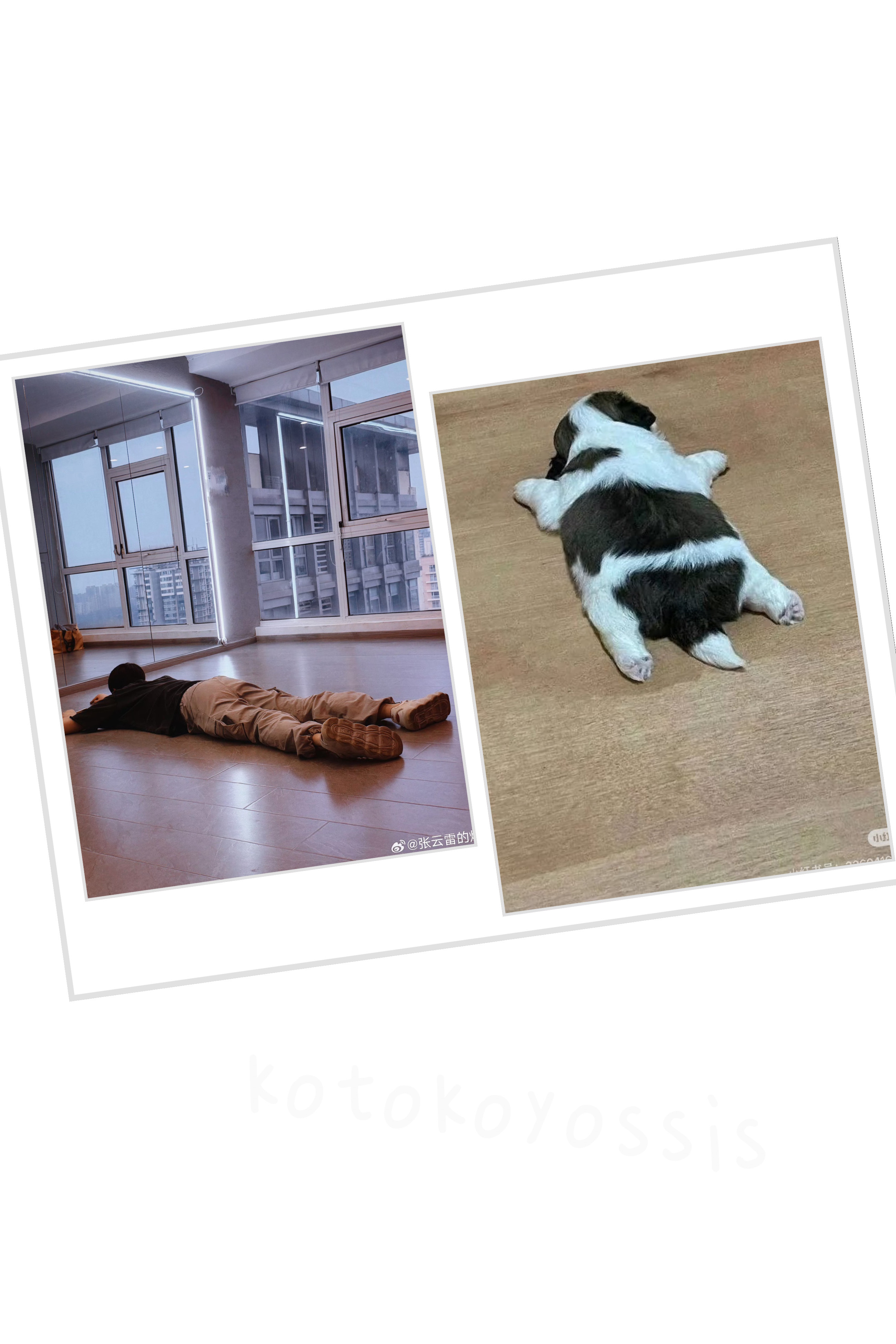 听说这叫板鸭趴