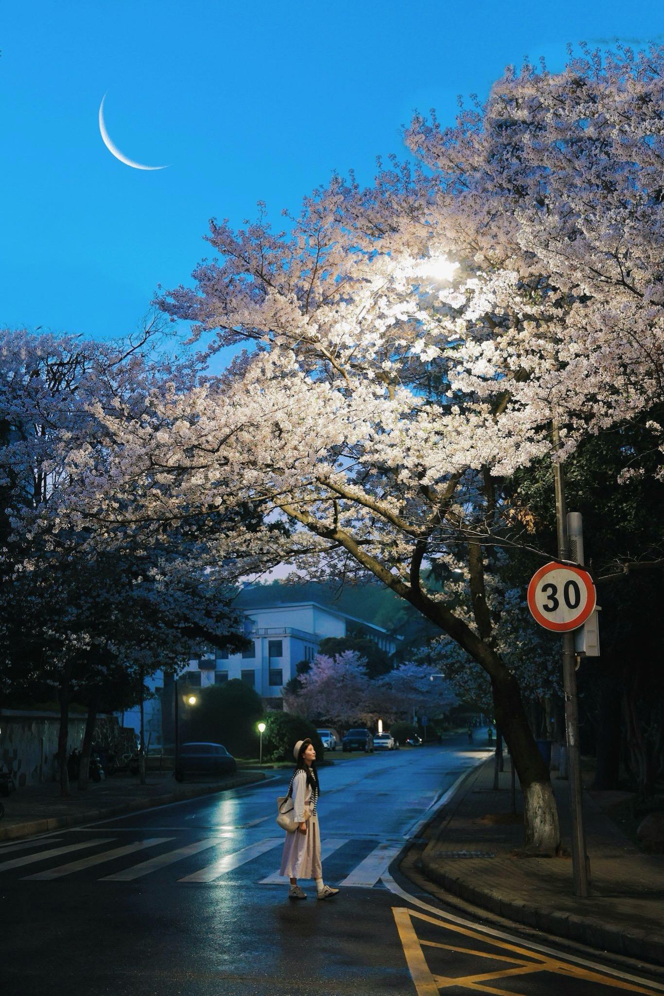 接下来的武汉，花花世界已经藏不住了🌸。春在路上，花在枝头。 所有的美...