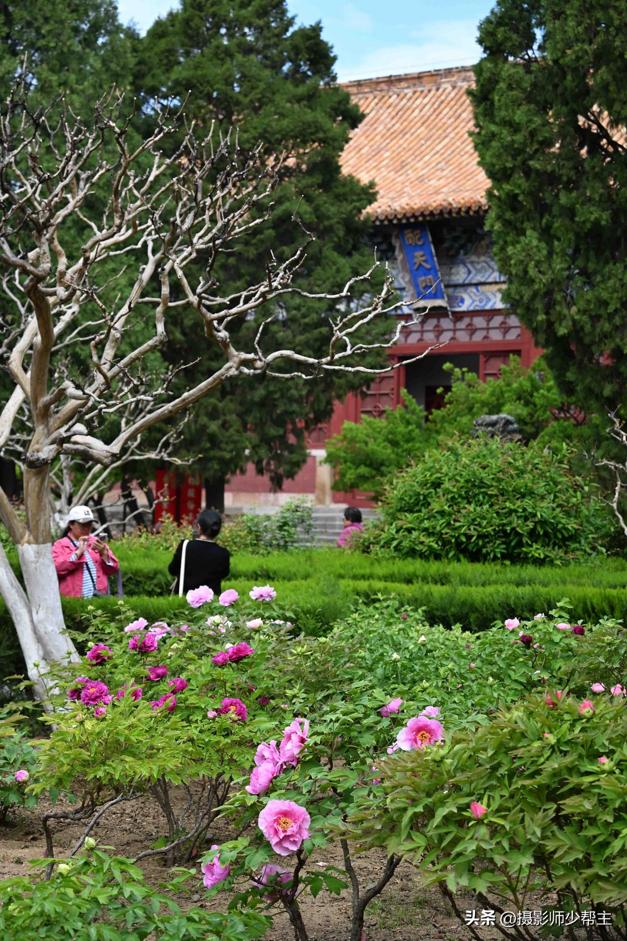 发现宝藏山东 步入岱庙，古色古香的朱墙、质朴的黛瓦、独具匠心的建筑，每一步都仿佛