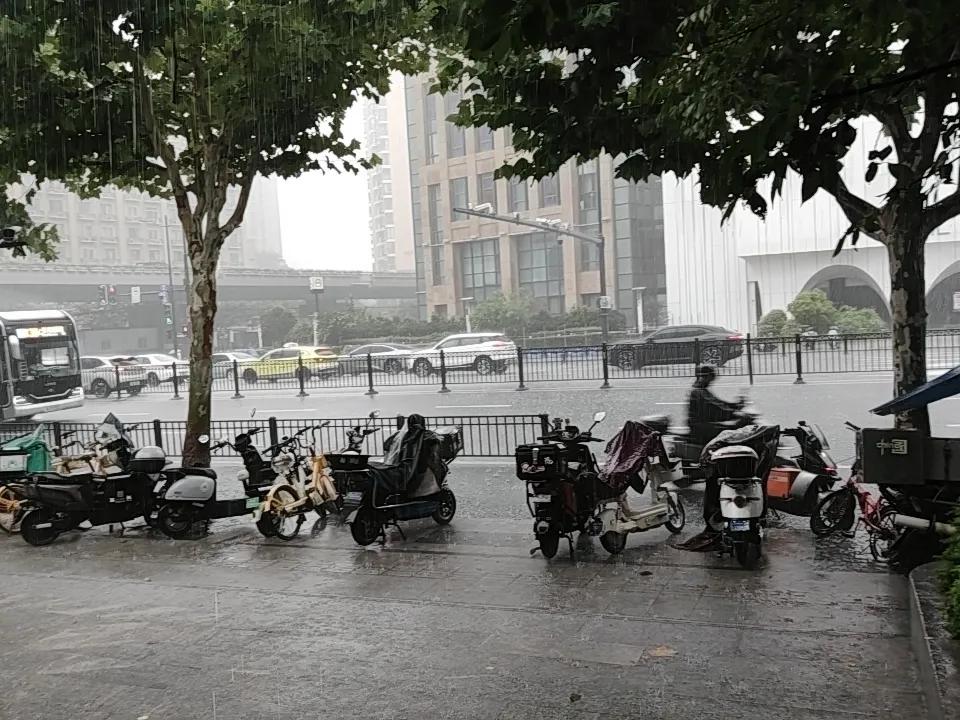 “白海豚”治愈了我的忧伤。今天，白海豚影响上海。上海是风声雨声雷声，声声入耳。比
