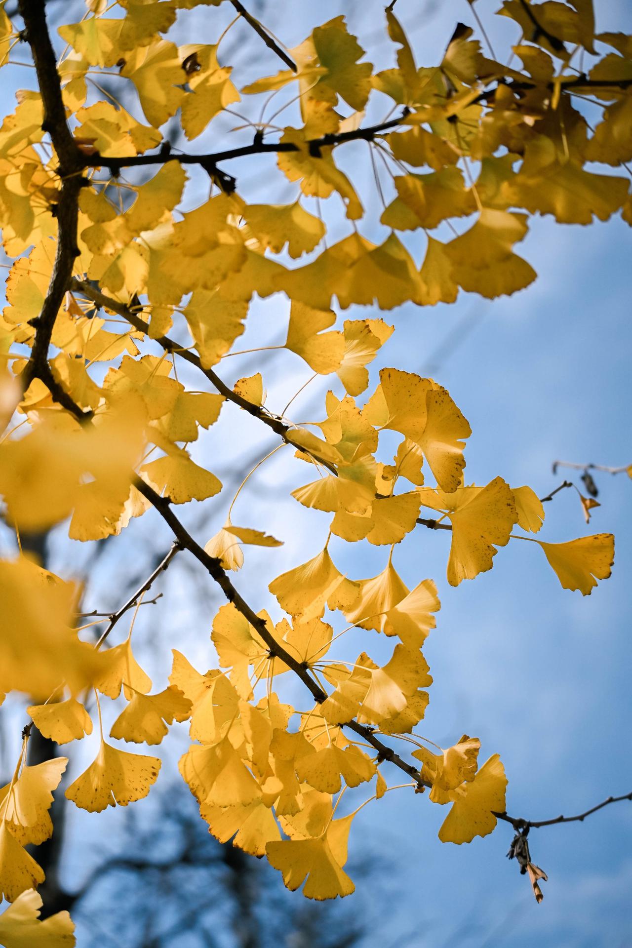 给你200万，你会怎样做？

有人说在城里买房子，
做点小买卖好好过日子。
有人