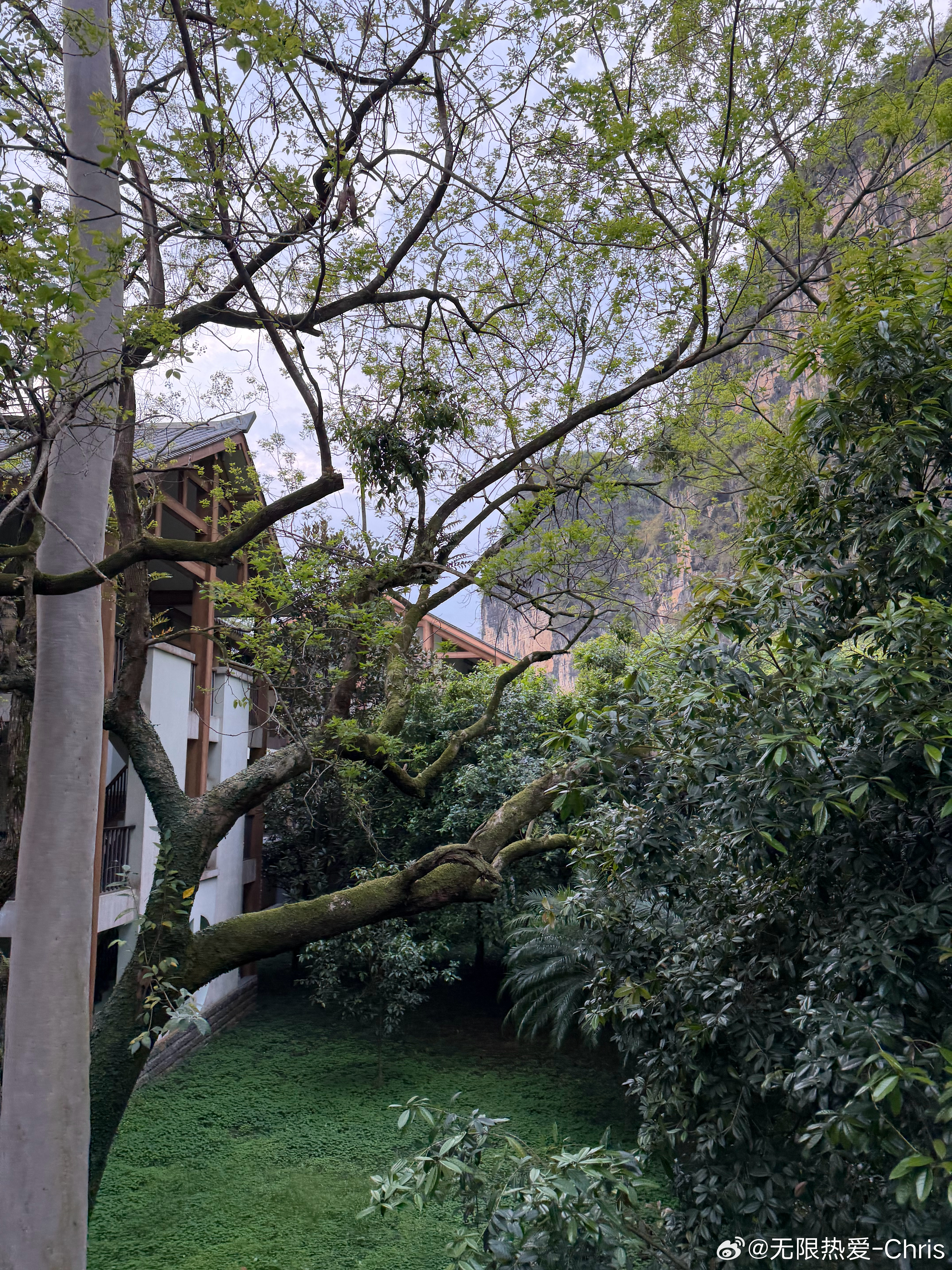 广西桂林阳朔 真的有种人在画中游的感觉空气里都是植物味道 太清新了气温也舒服 就