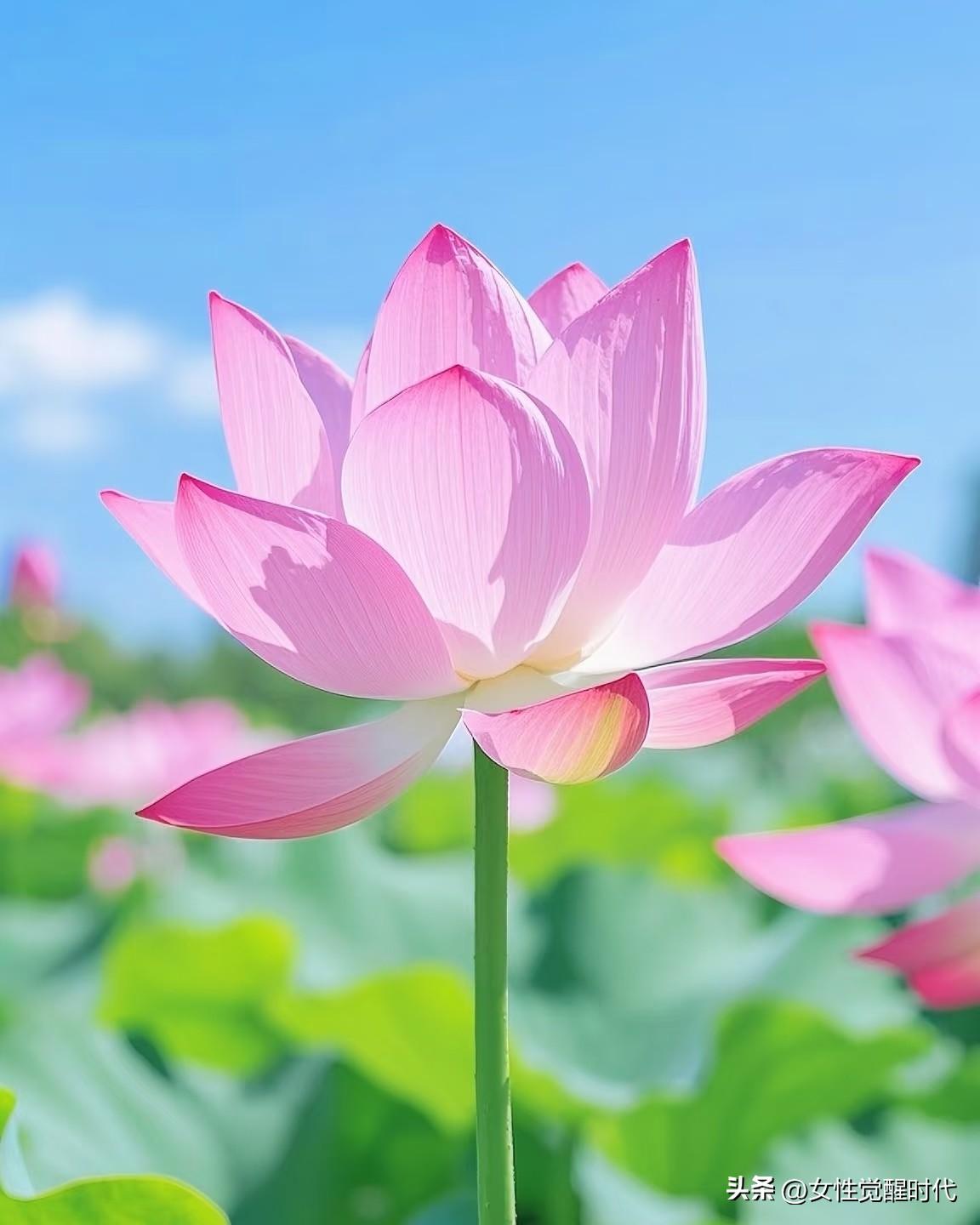 人老了，
这10个“福气”不能少！
少一个，福气就跑了

人老了，啥是福气？
不