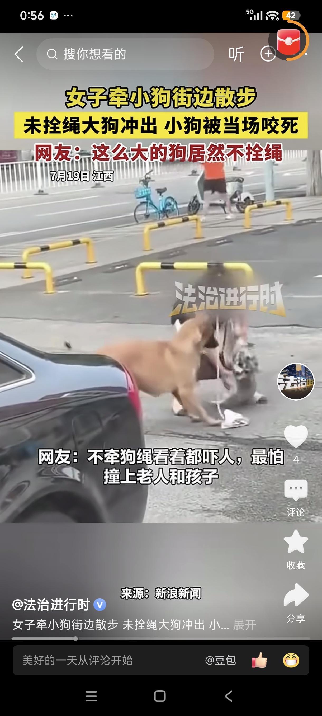 江西一女子牵着自家小狗出来散步。突然，一只未牵绳的大黄狗从不远处冲了过来，并追着