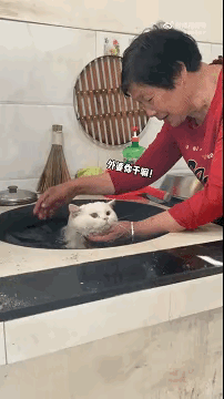 图一：奶奶的做法，简直就是要把猫咪给吓坏了。
图二：飞鱼为什么会飞，原因就是在这