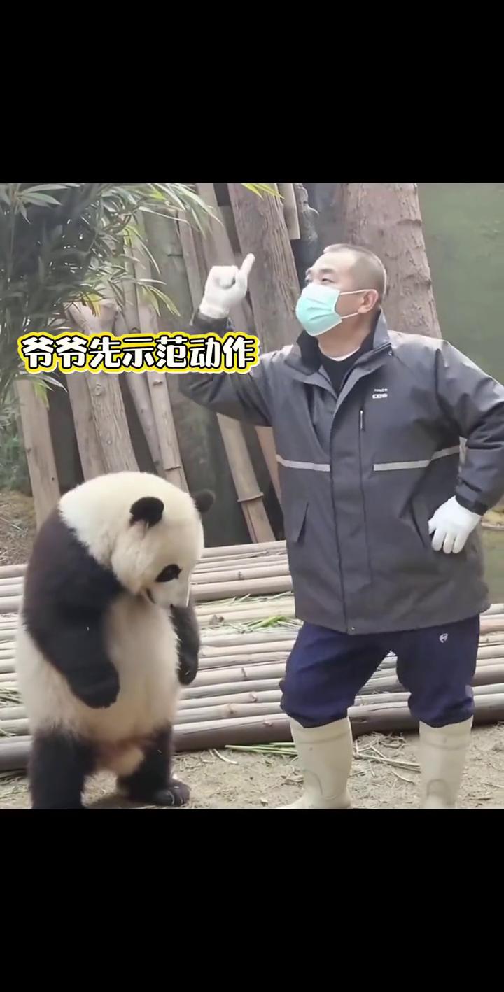 爷爷先示范动作，又学会啦，一起摇摆。