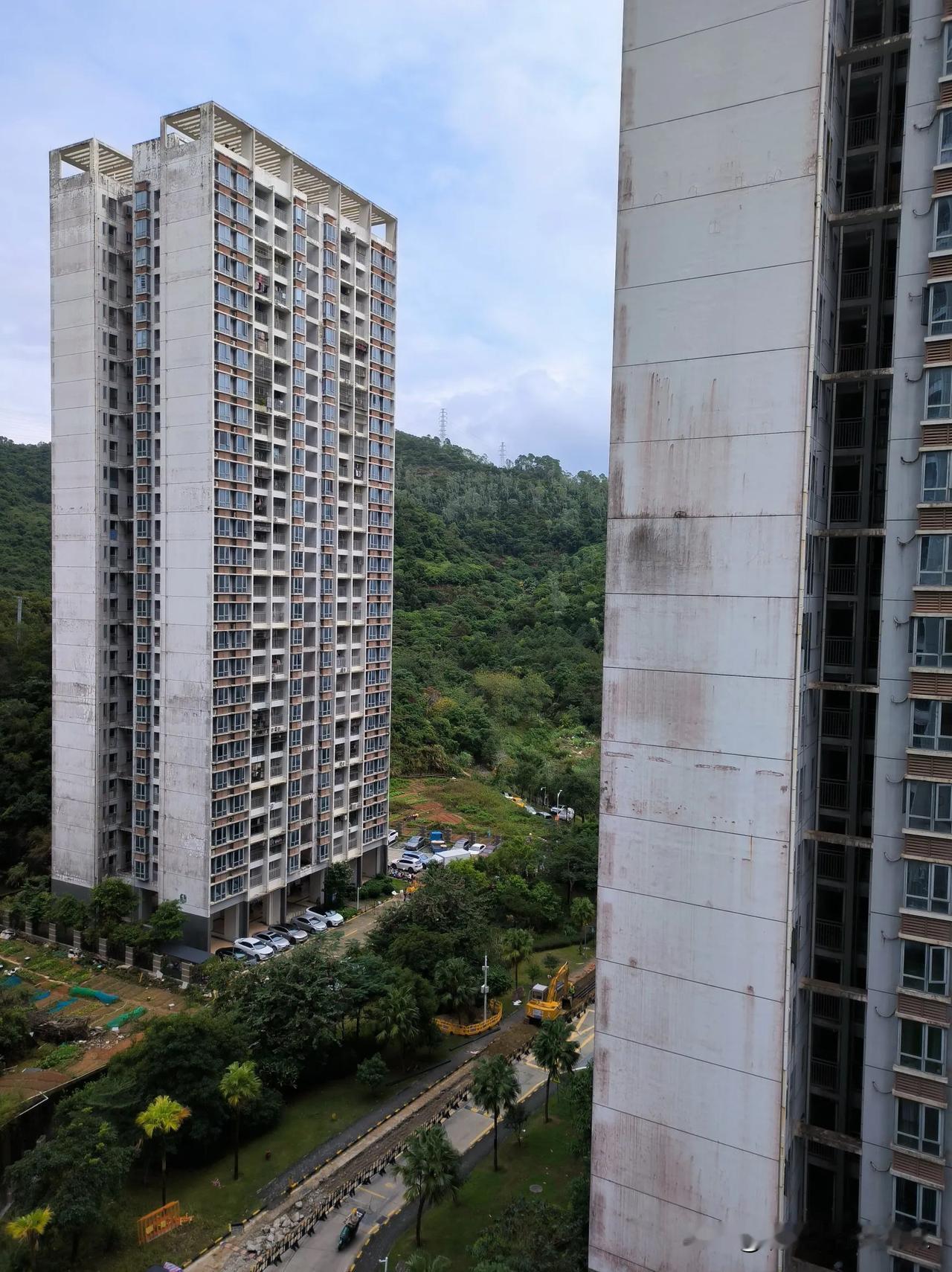 淫雨霏霏，翠鸟啾啾。
听着窗外淅淅沥沥，鸟儿叽叽喳喳。我失眠了，四点多就醒了。睡