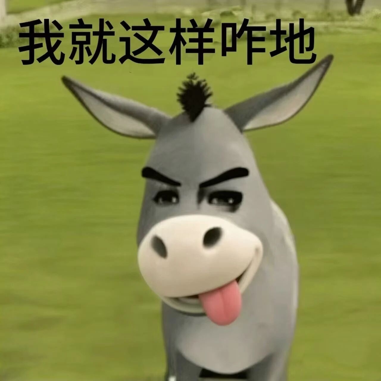 突然好想吃特别肥特别油的红烧大肥肉 