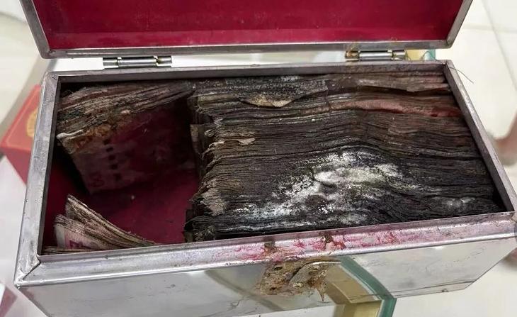 “赔大发了！”辽宁大连，一老人由于不想把钱存在银行，就把10万元现金埋到了自家院
