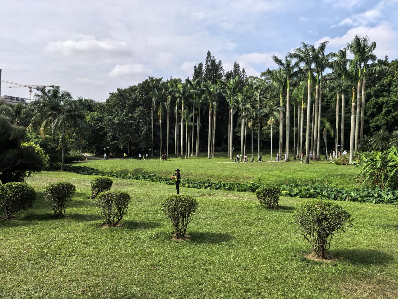 大自然美景，随手一拍这幅美景越看越好看，真的很养眼。