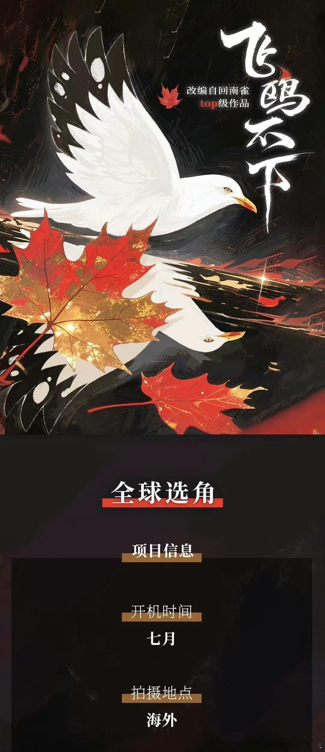 到底要拍多少飞欧不下能拍吗这。。。 