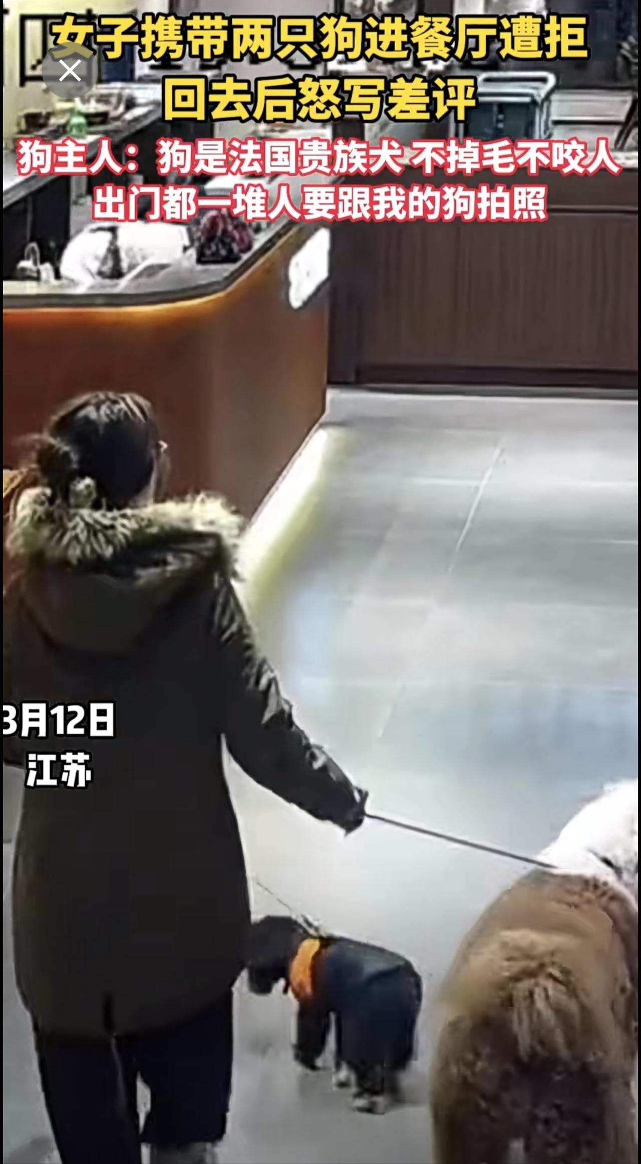 女子携带两只狗进餐厅遭拒   回去后怒写差评    狗主人：狗是法国贵族犬 不掉