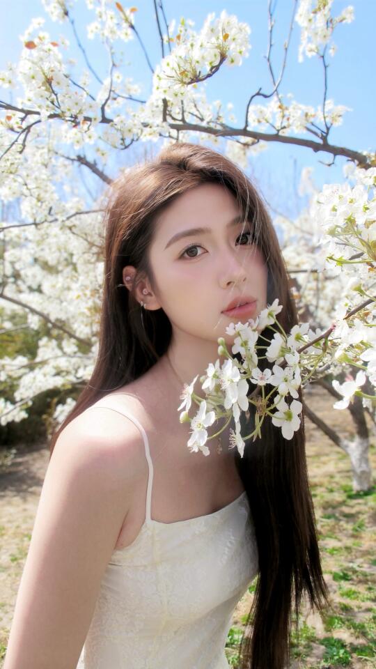 误入梨花深处，误入美人眉眼