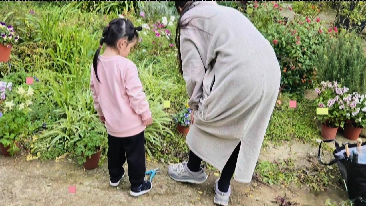 郭碧婷给3岁儿子留长发郭碧婷3岁儿子长这么大了 郭碧婷给3岁儿子留长发，向笙长这