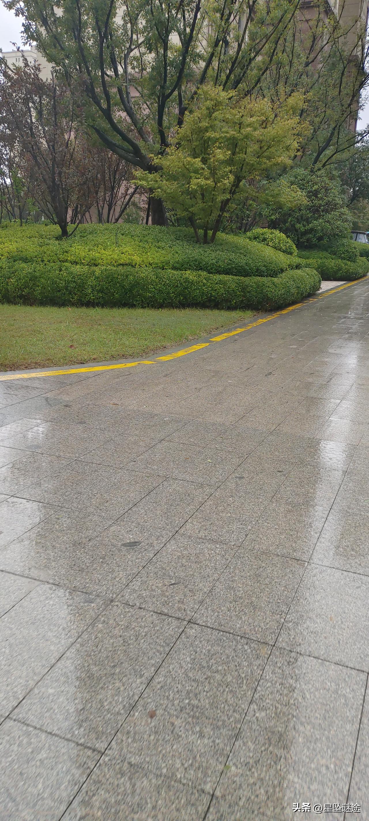 连续一周的高温，终于下雨了降降温了