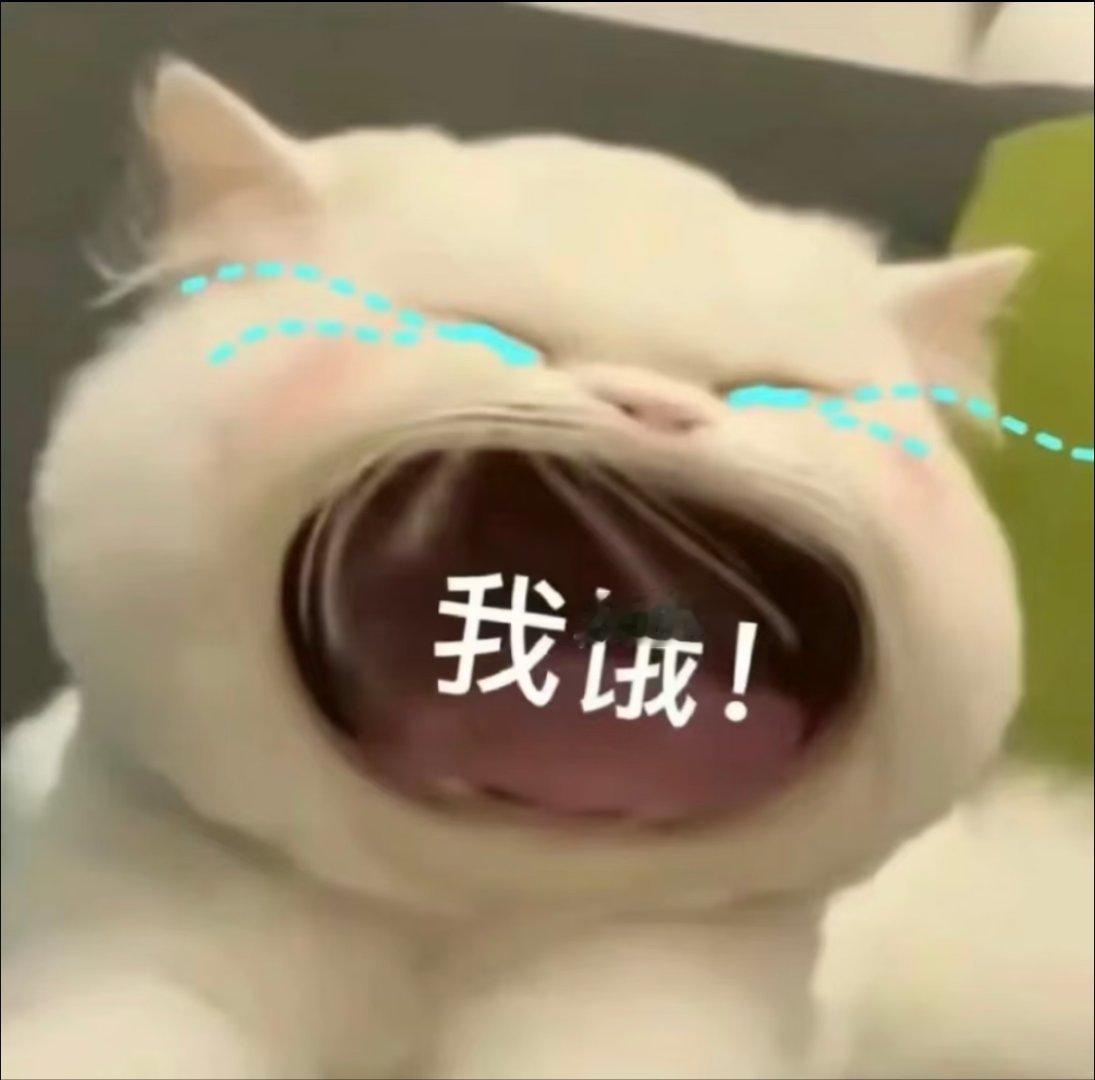 我好饿  我今天怎么这么饿我是不是要变瘦了  。。。。自从开始减肥   每天控制