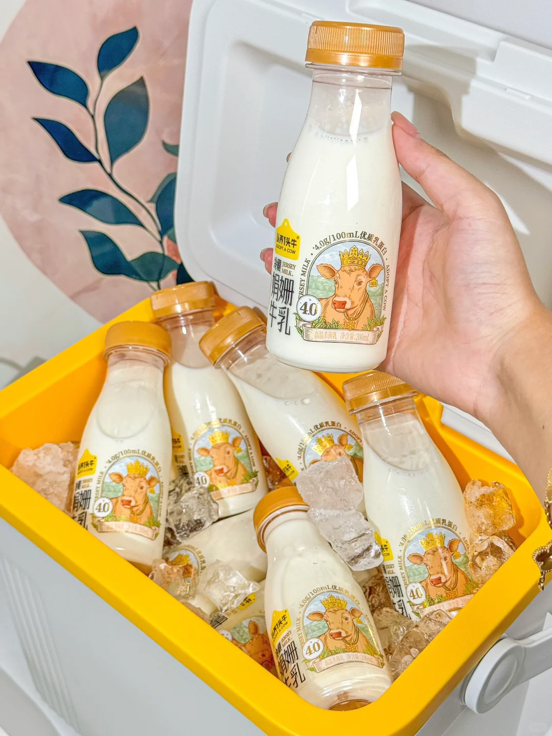 每次都囤一冰箱…怎么会有这么醇厚的牛奶！！