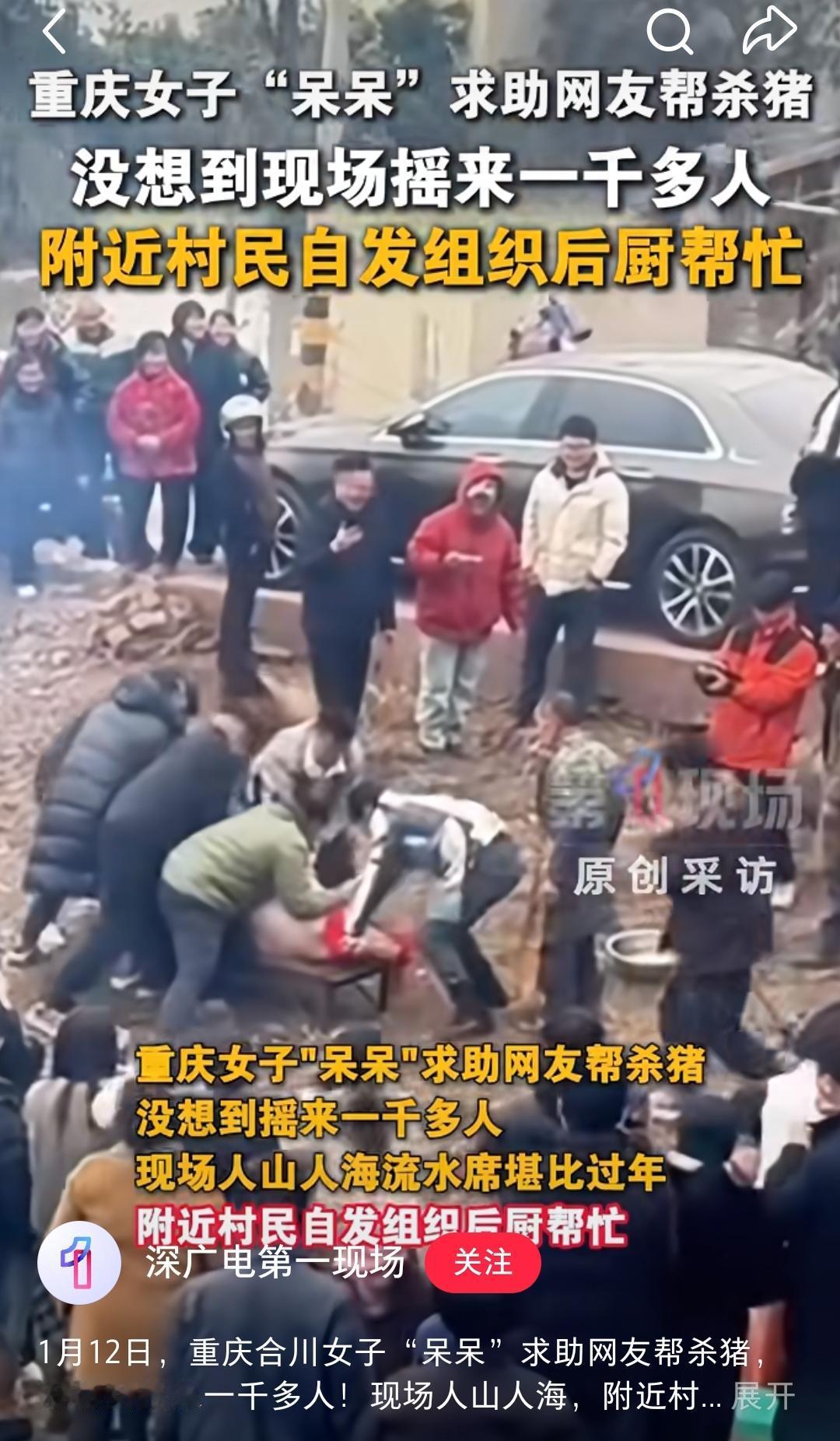 谁能想到！
呆呆家动工居然不是盖新房，
而是
刨被上万人踩板实的耕地！
 
这事