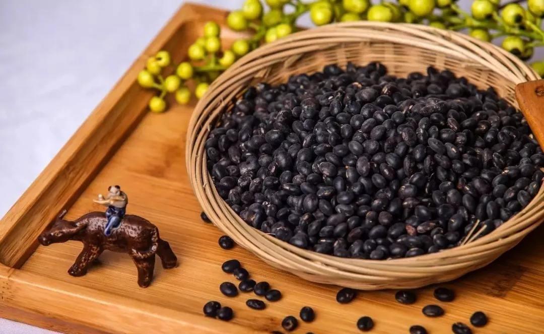 在1840年以前的大清朝，国家的安全与命运，实际上往往只依赖于决策者手中区区一粒