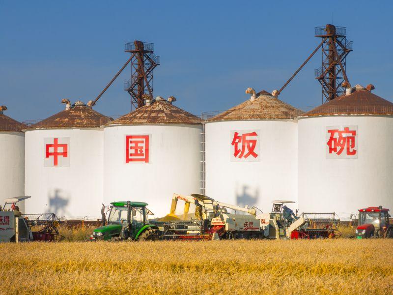 我国之所以能实现社会稳定，人心安定，一个很重要的原因，是我们手中有粮食，心中不慌