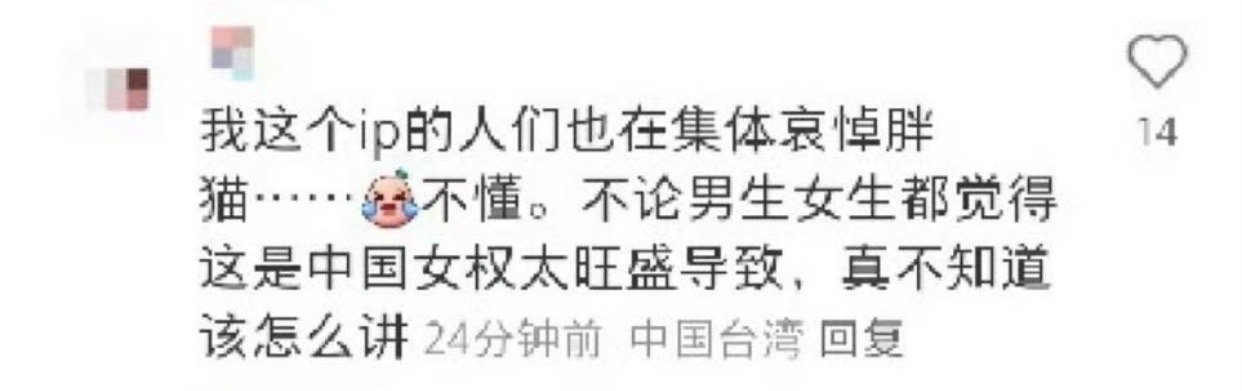 投稿，“胖猫版本更新到台湾省了，台湾省人也在集体纪念他，还有为他写歌的台湾up”