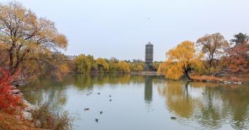 多少分能上安阳师范？王牌专业、就业去向、年薪多少
如果你在河南，2025年历史类