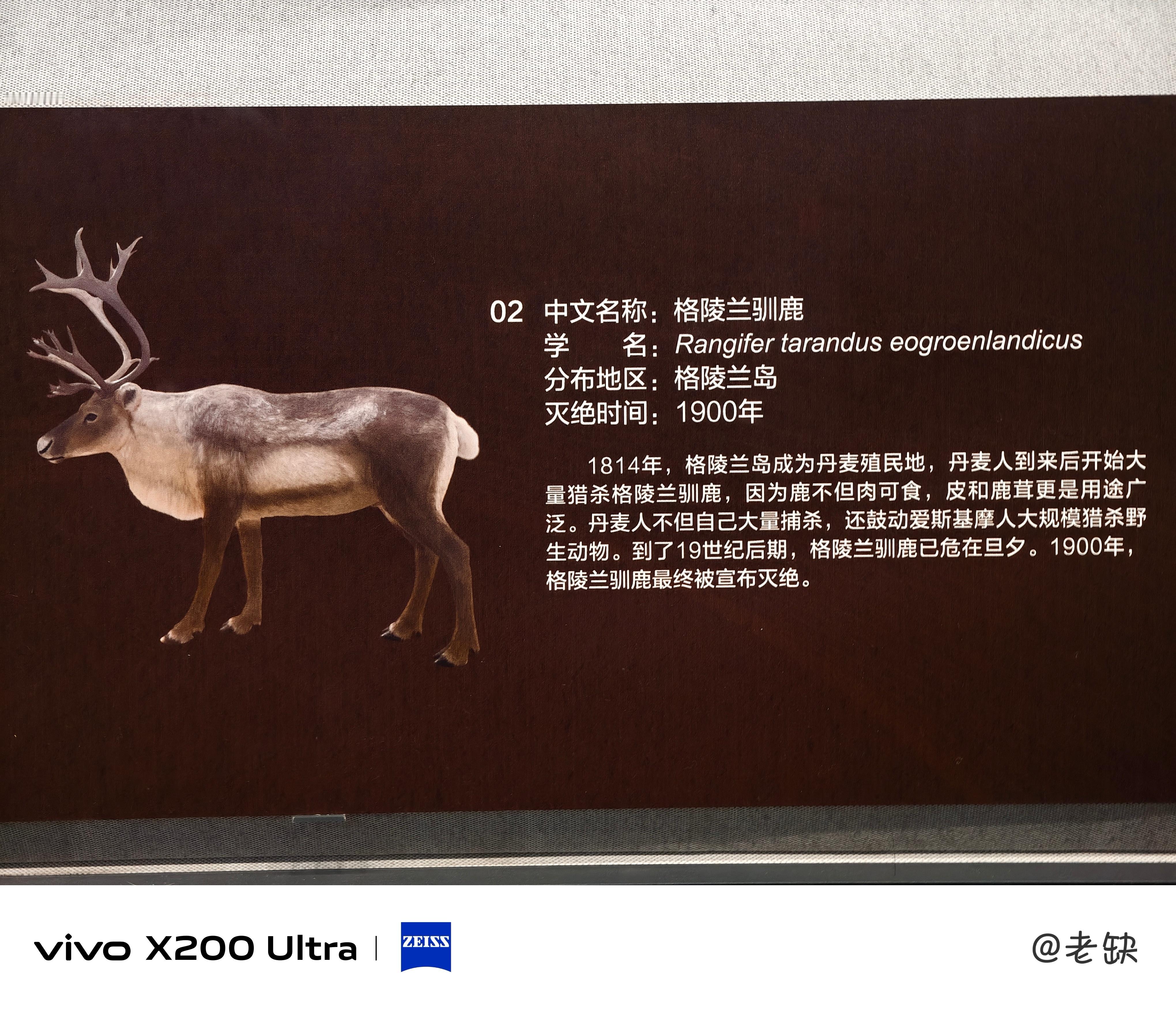 论种族灭绝和物种灭绝，还得看欧洲人[吐]现在鼓吹族群平等和环境保护最凶的也是他们