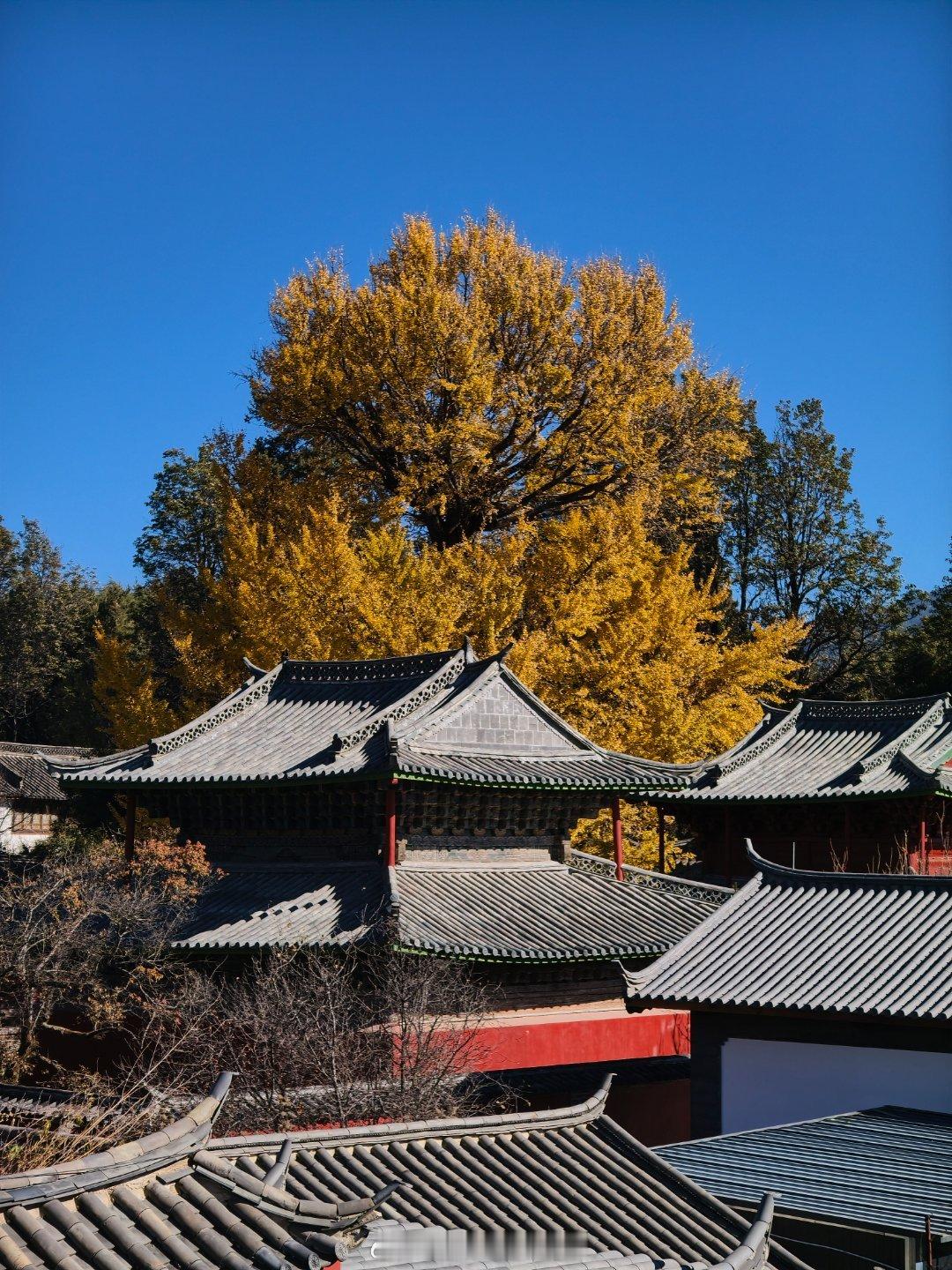 你还会选择安卓苹果双持吗 那可太方便了好吧，一直都是双持，iPhone17Pro