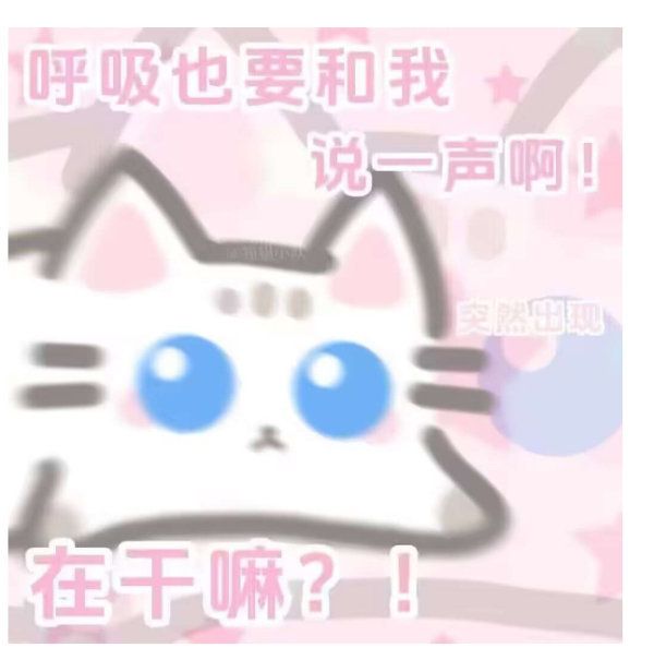 5880【有无】此猫更多表情包，或阴暗又可爱的光明正大视/奸的表情包春日放个疯 