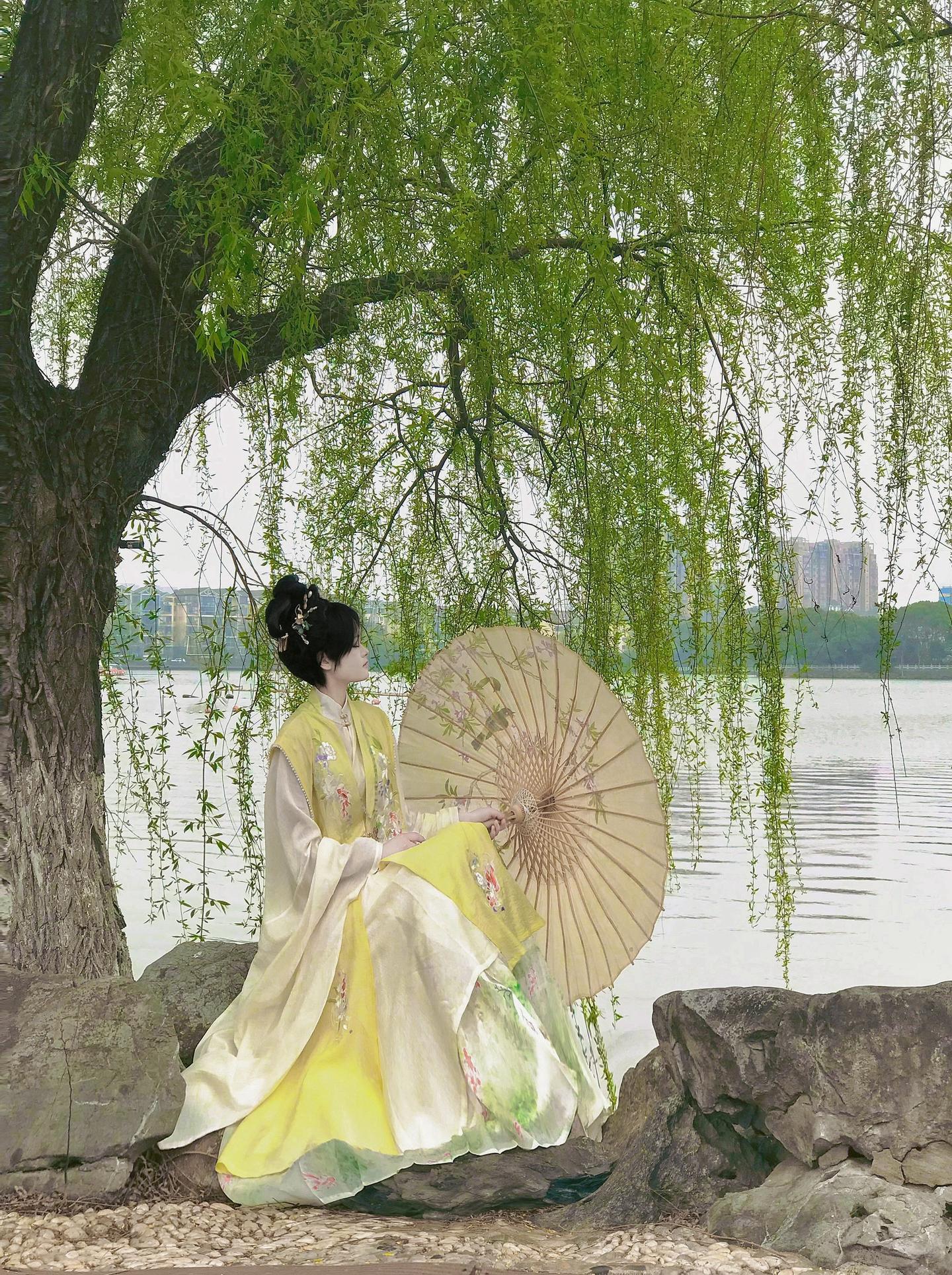 无心插柳柳成荫…