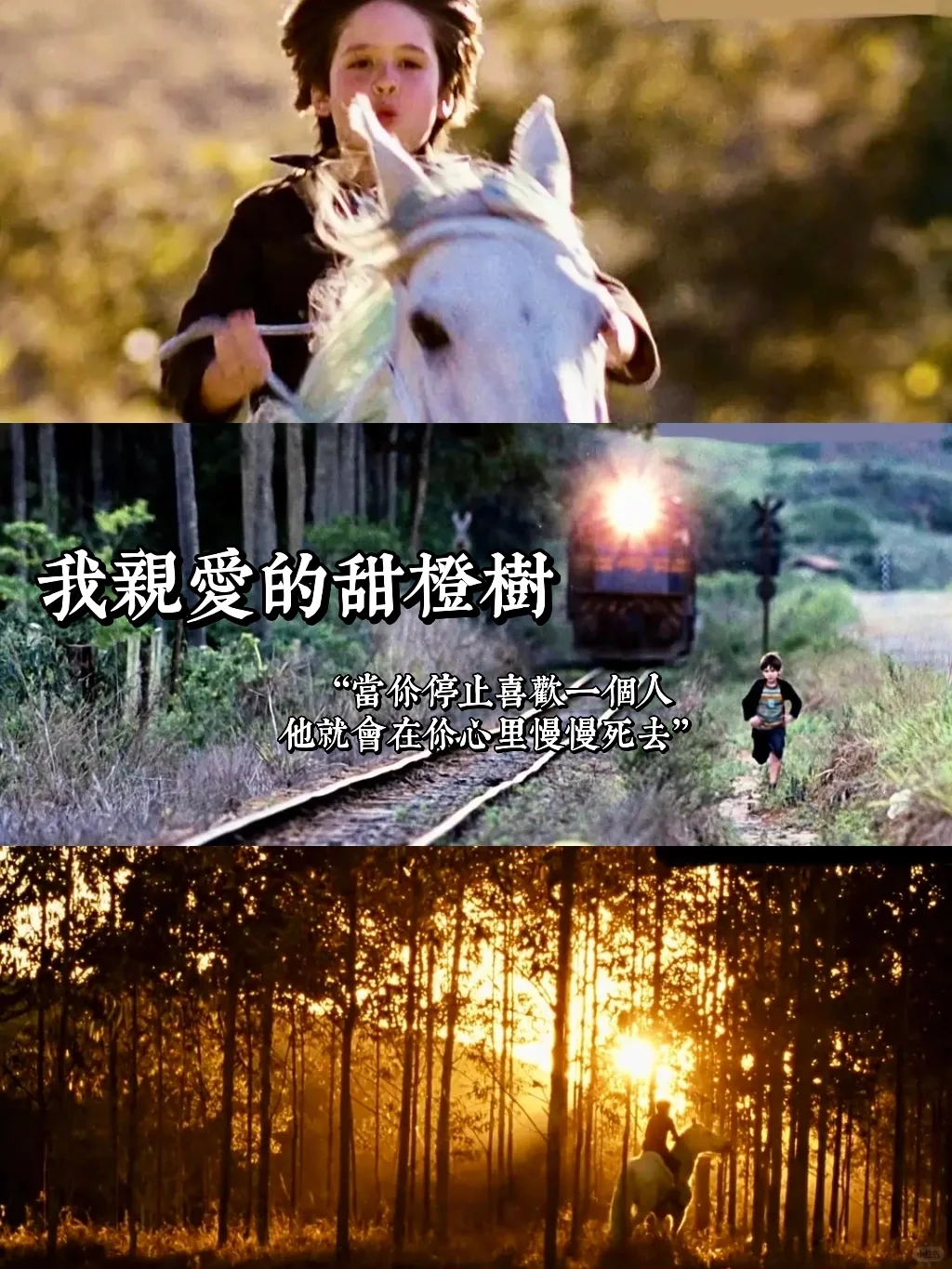 看哭了好多次…人生都是这么绝望的吗…