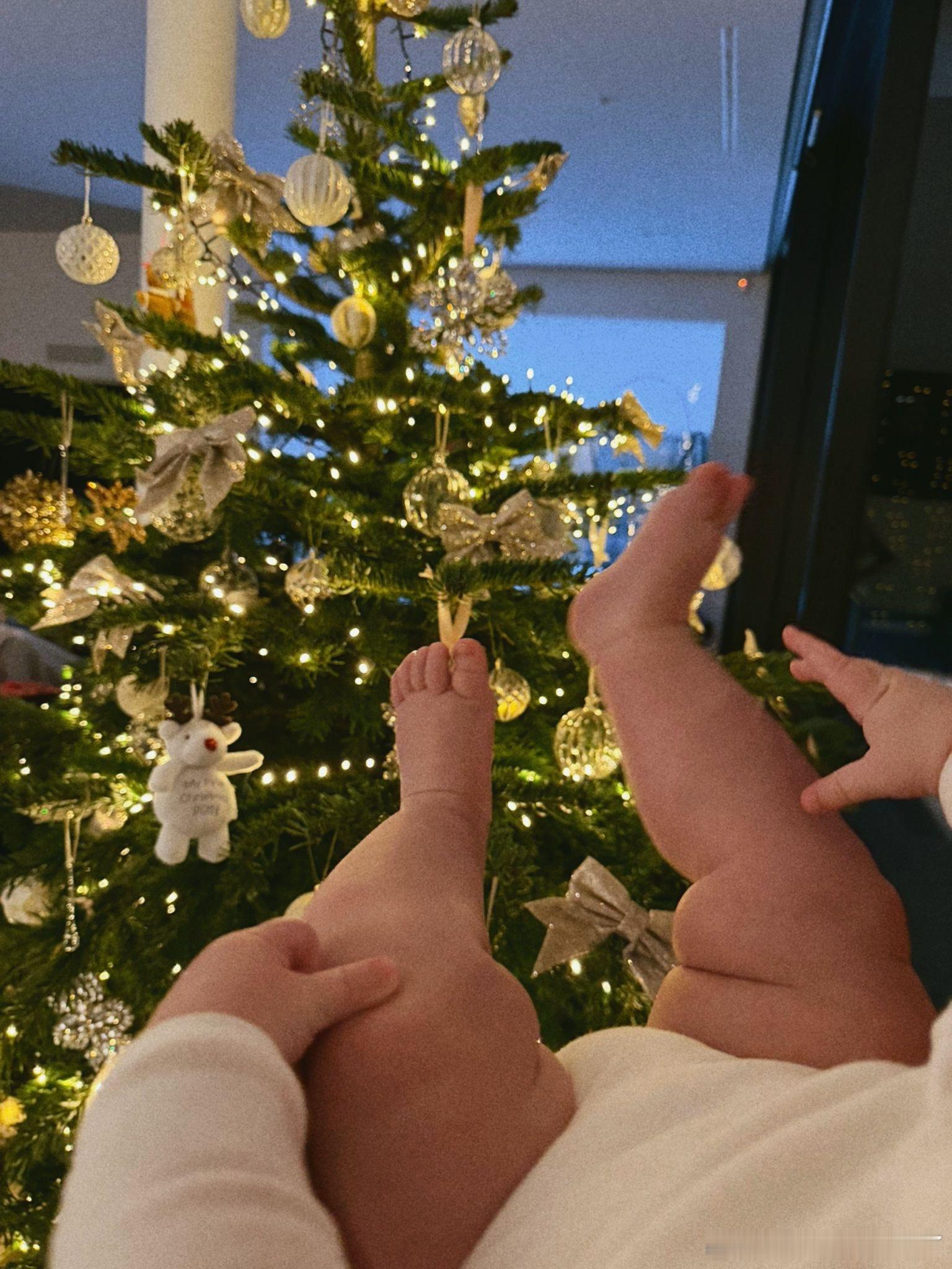 索博的圣诞节陪家人度过 